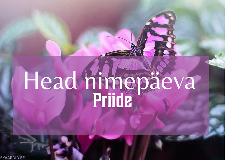 Head nimepäeva, Priide!
