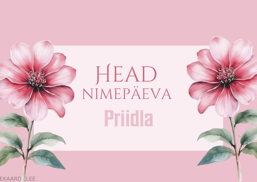 Head nimepäeva, Priidla!