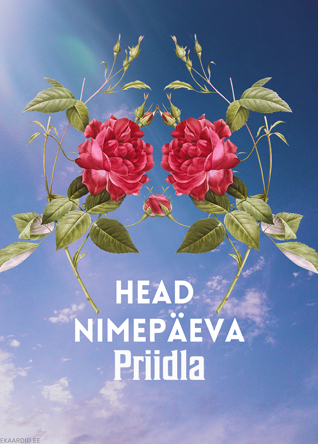 Head nimepäeva, Priidla!
