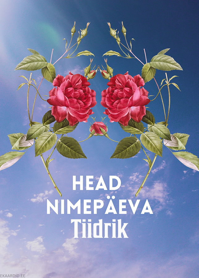 Head nimepäeva, Tiidrik!