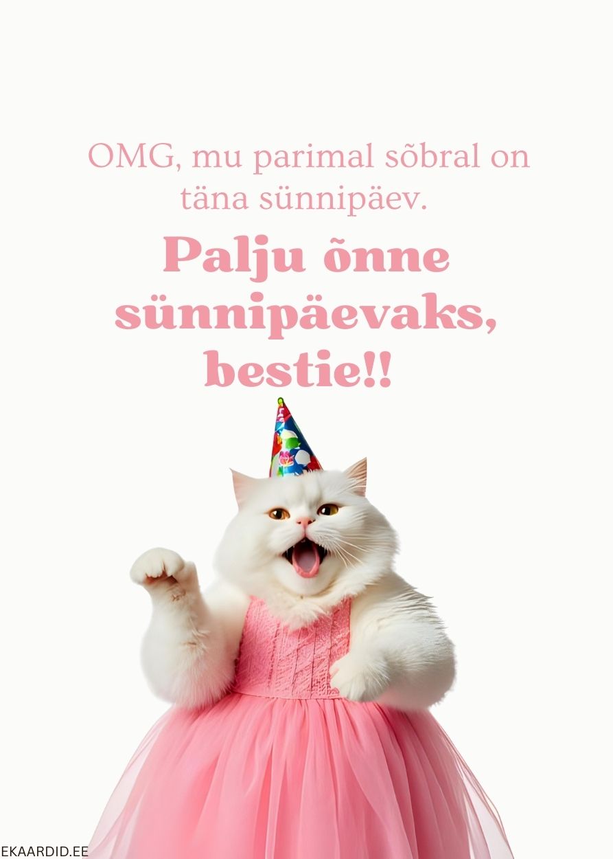 Humoorikas kass sünnipäevakaardil