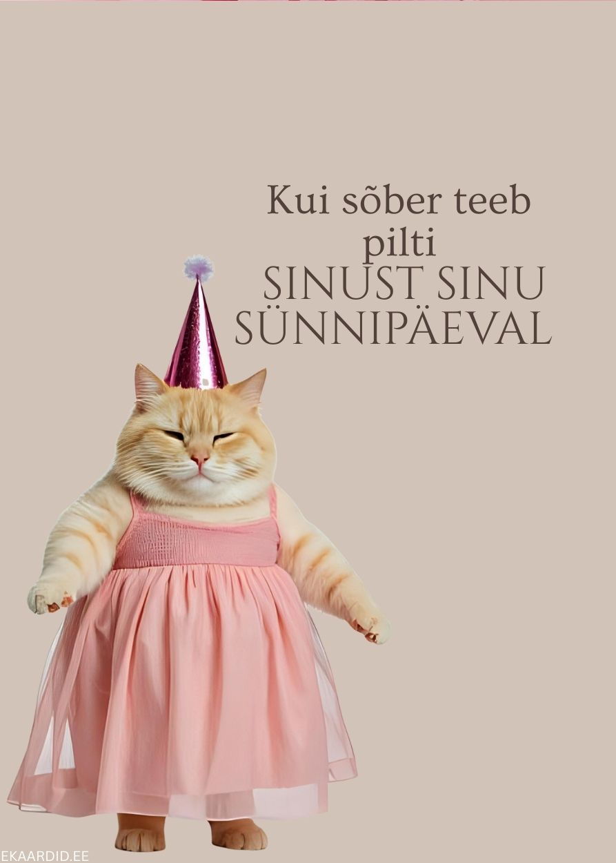 Humoorikas sünnipäevakaart kassiga