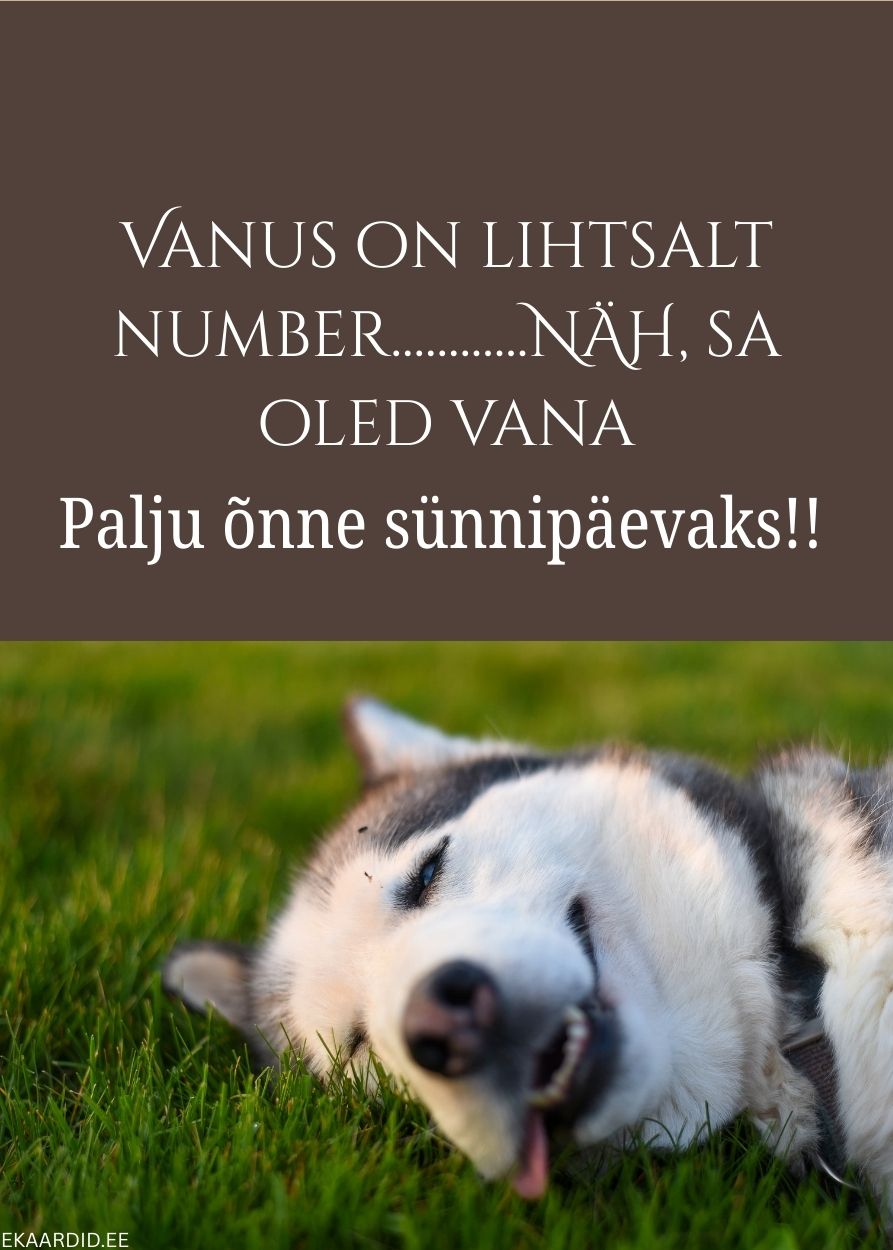 Humoorikas sünnipäevakaart koeraga