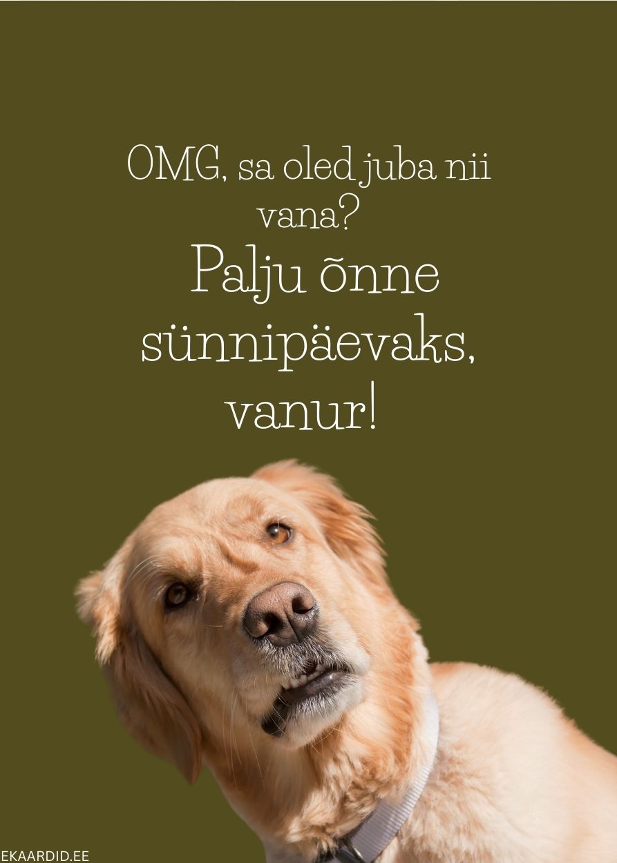 Humoorikas sünnipäevakaart koeraga