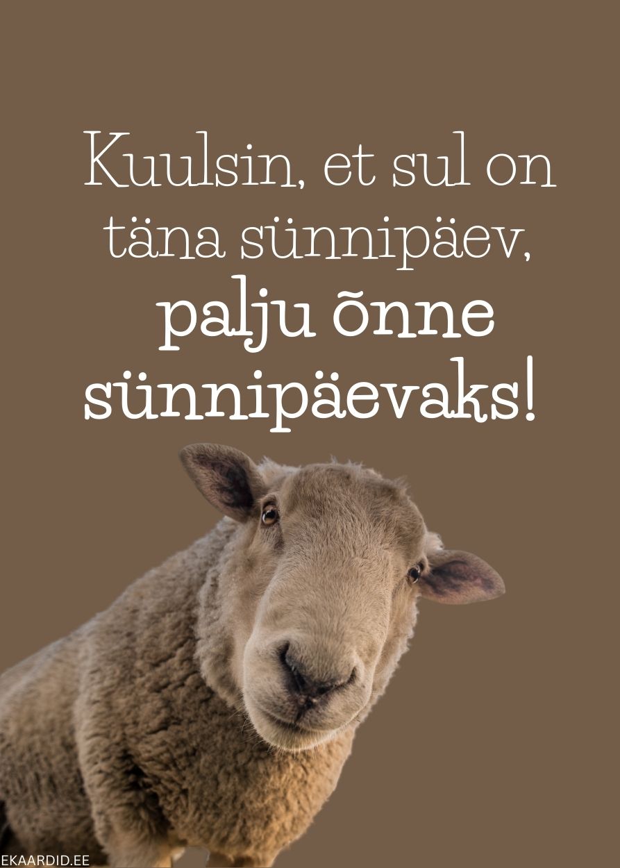 Humoorikas sünnipäevakaart lambaga
