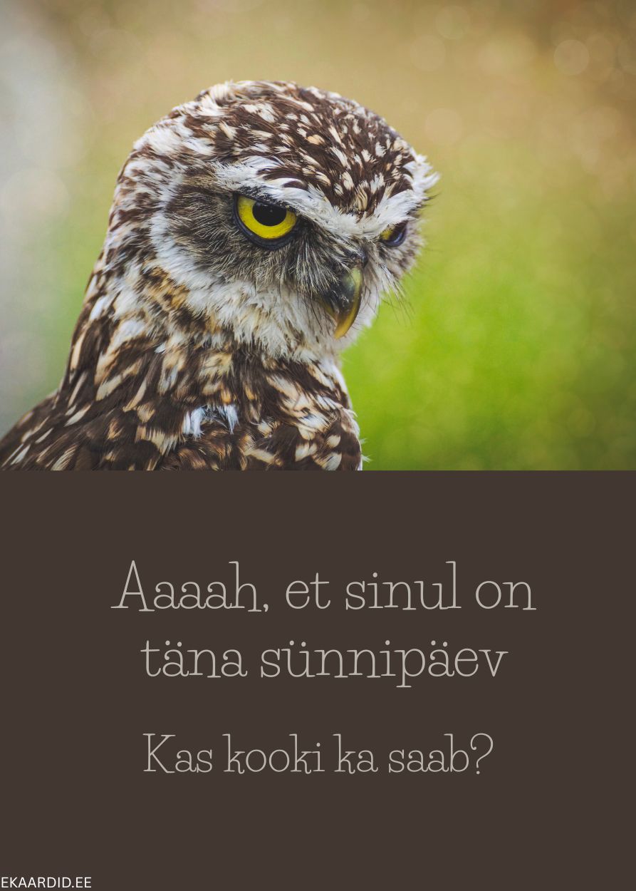 Humoorikas sünnipäevakaart öökulliga