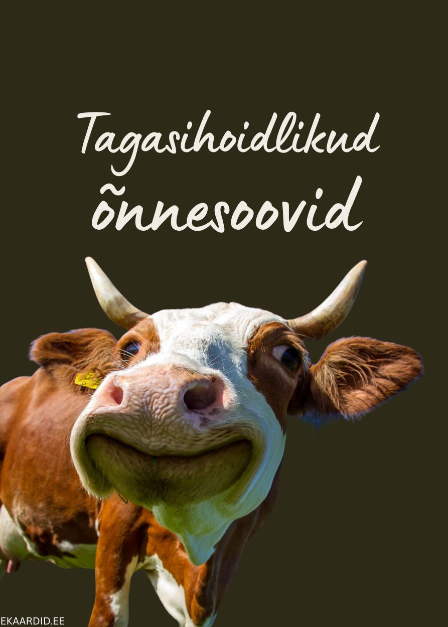 Naljakas lehma-sünnipäevakaart