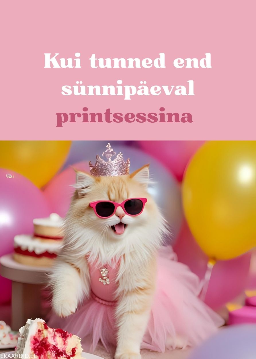 Sünnipäevakaart printsessi kassiga