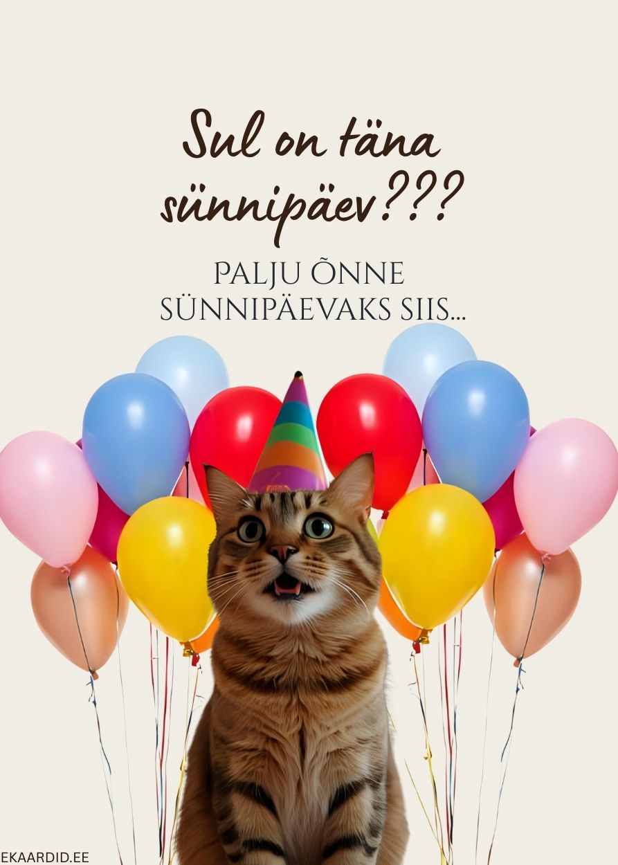 Sünnipäevakaart üllatunud kassiga