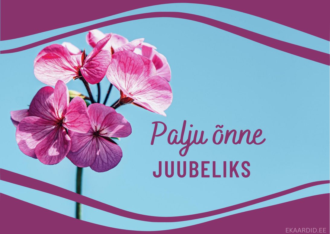 Juubelikaart roosade pelargooniumidega