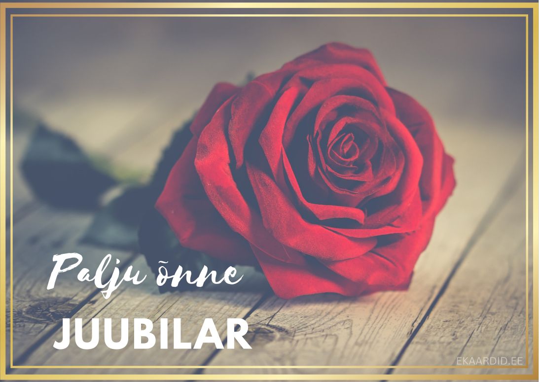Punane roos juubeliks