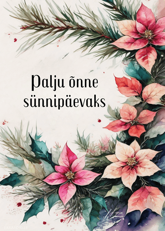 Jõulu meeleoluga sünnipäevakaart