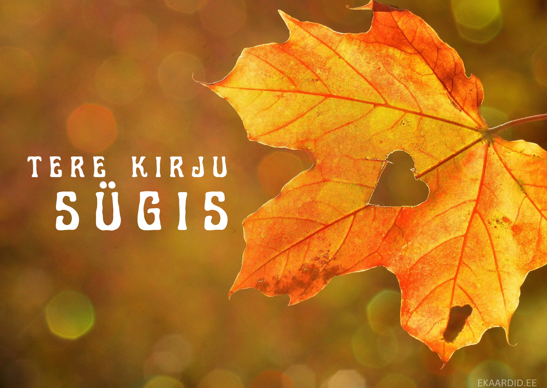 Sügisene leht südamega tervituskaart