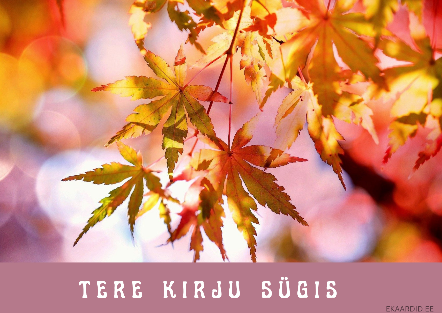Sügislehed tervituskaardil