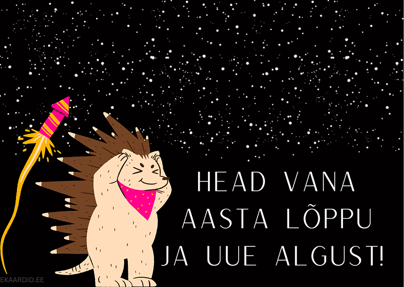 Siilike ja ilutulestik - aastavahetuse kaart
