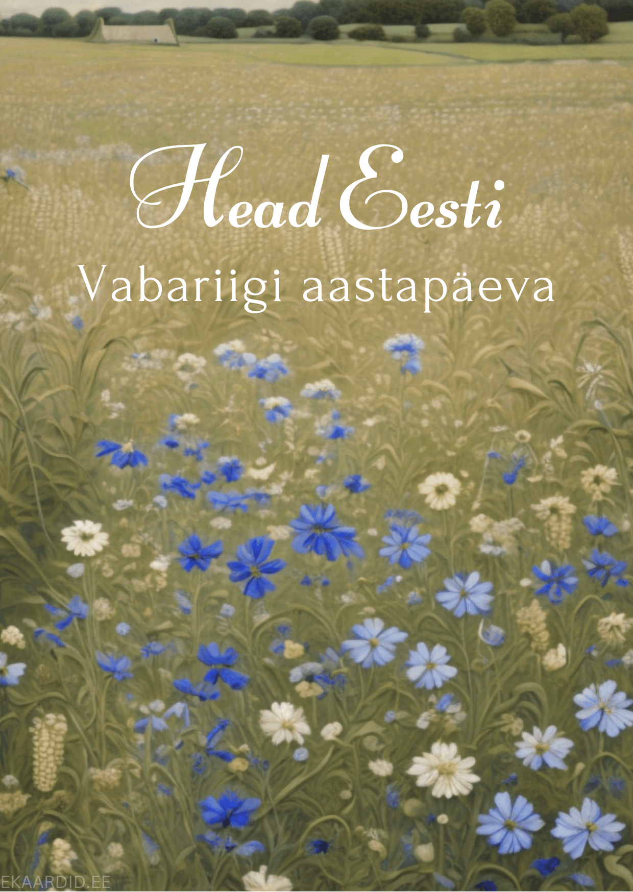 Vabariigi aastapäeva kaart õitseva põllu motiiviga