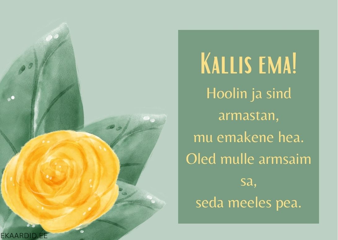 Õrn kollane roos Emadepäevakaardil