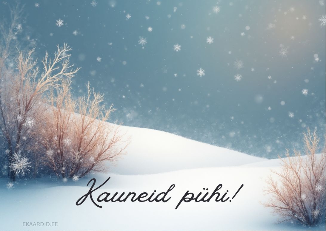 Talvine kaart "Kauneid pühi!"