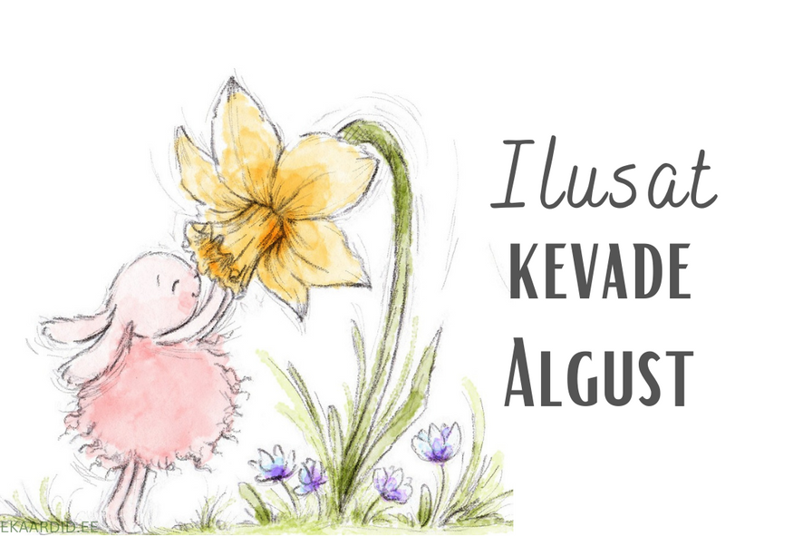 Kevadine jänese ja nartsissi kaart
