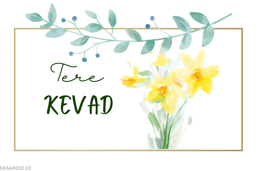 Kevadine tervituskaart kollaste nartsissidega