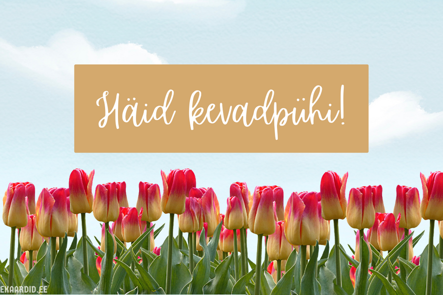 Kevadine tulbikimp kevadpühadeks