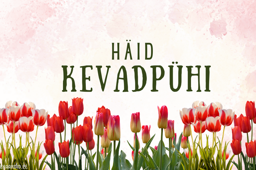 Kevadpüha kaart tulbidega