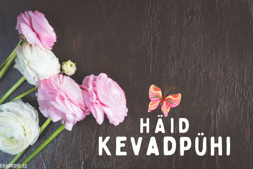 Kevadpühade kaart roosade ja valgete ranunklitega