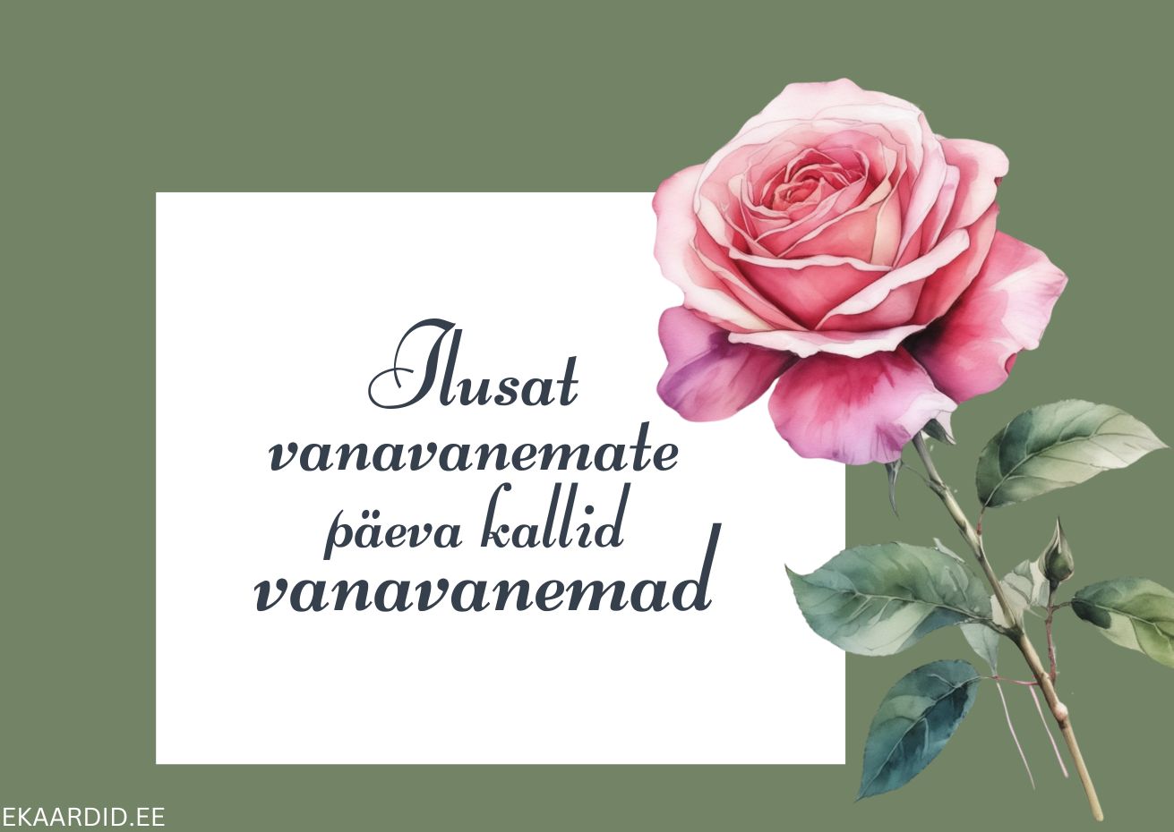 Roosiline roosikimp vanavanemate päeva puhul